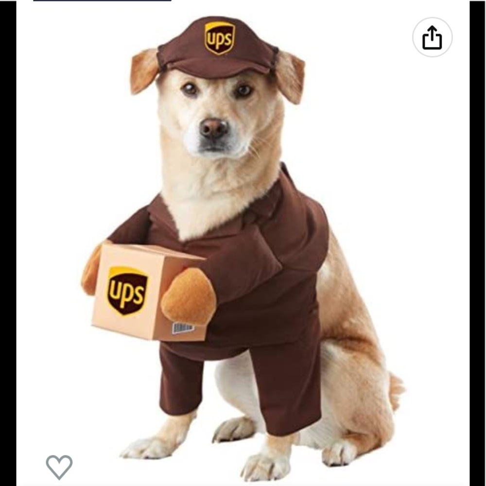 California Costumes Pet Ups Pal Dog Costume